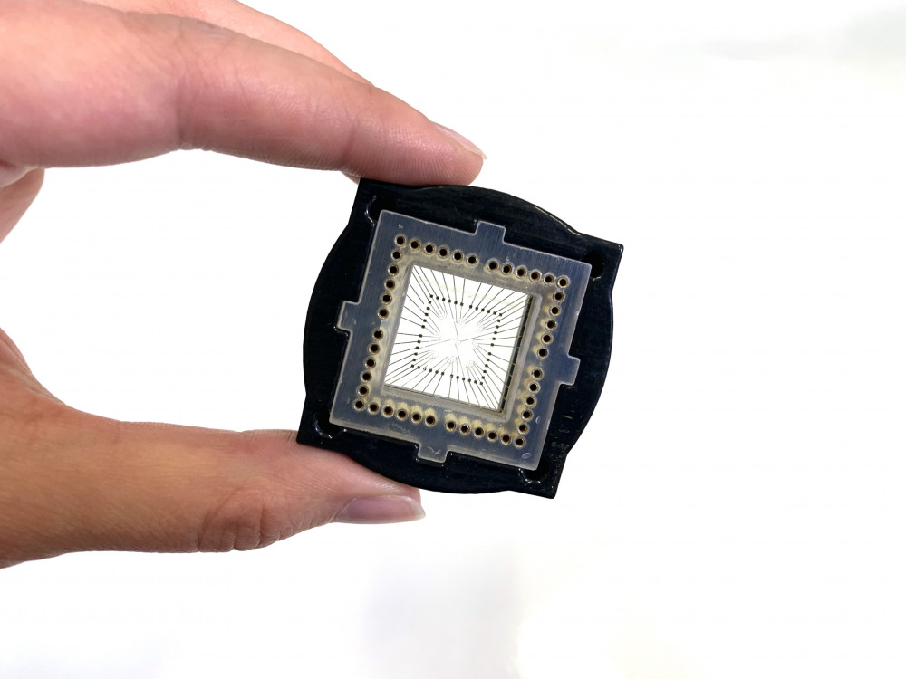 Sensor Embedded Human Organoids